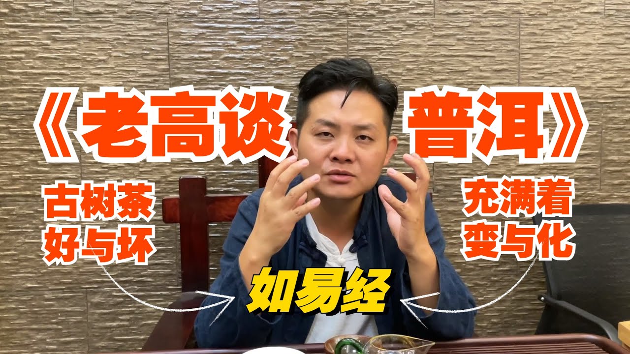 《老高谈普洱》市面90%古树茶都是假的？老高带你浅聊古树茶特点，宛如易经的一阴一阳！#普洱茶 #茶文化 #老班章 #古树茶