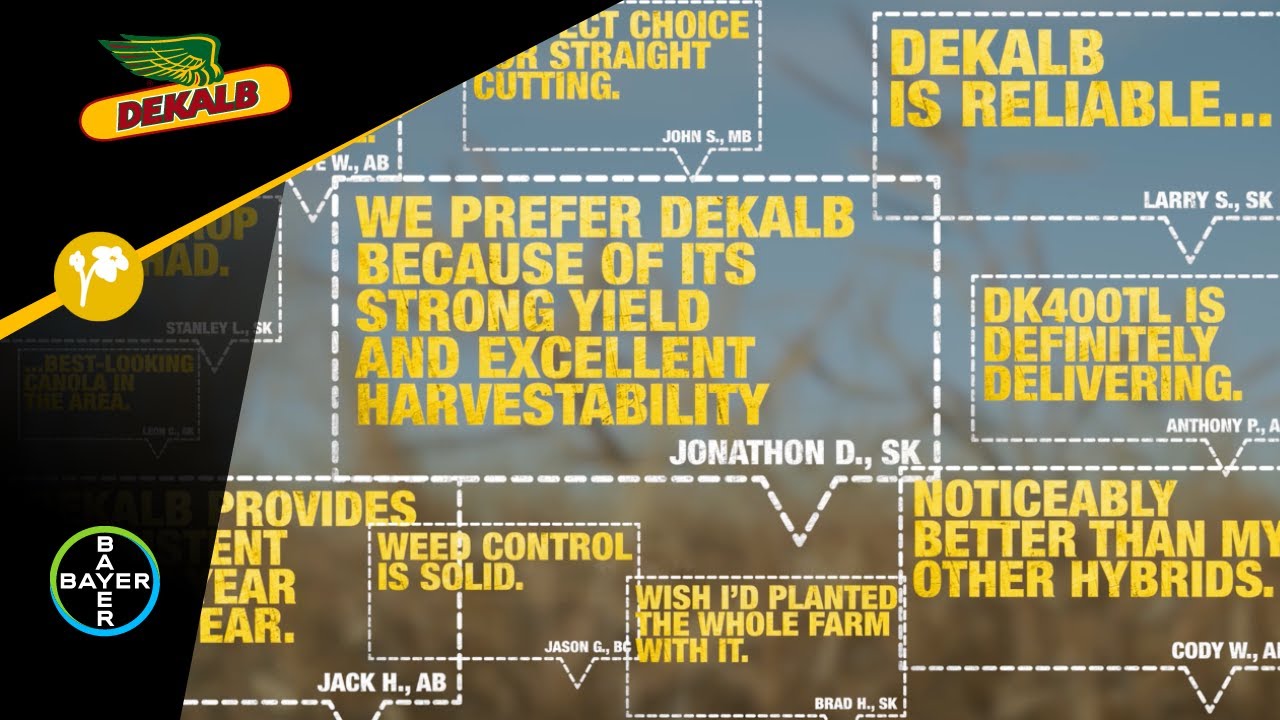 DEKALB Canola: What growers are saying about DEKALB canola in 2025