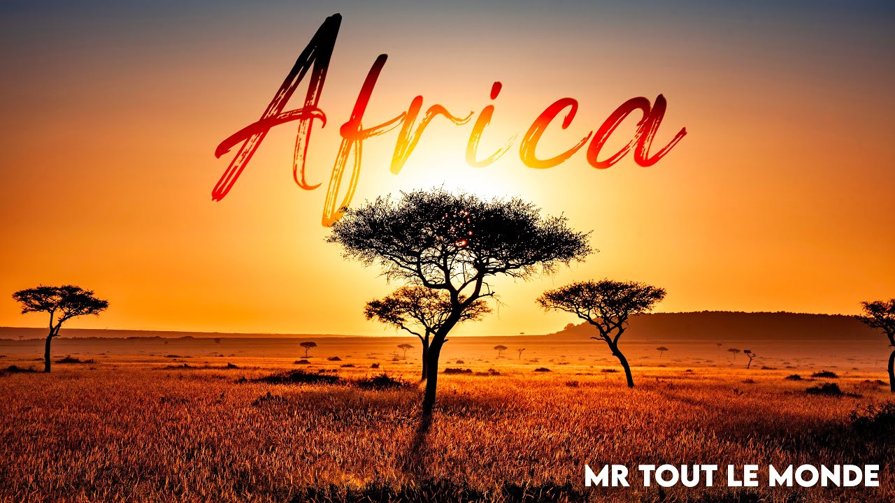 MR TOUT LE MONDE  -  Africa