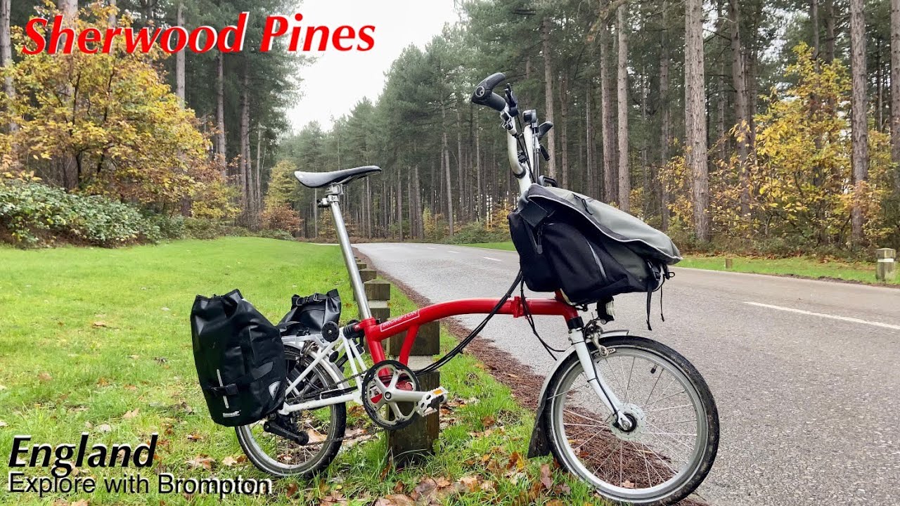 Brompton ride & cooking outdoor breakfast at SHERWOOD PINES, Forestry England