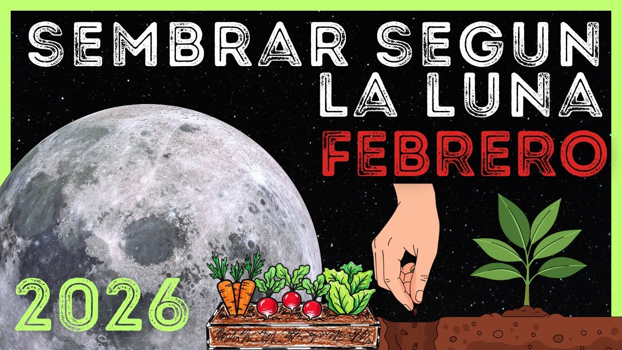 Calendario Lunar para SIEMBRA y JARDINERÍA en FEBRERO 🌱🌿 Como Sembrar con la luna en FEBRERO