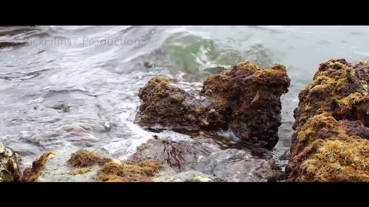 San Diego Film