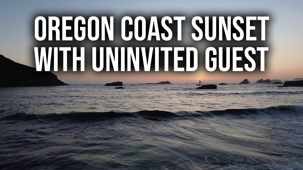 Ocean Flyover Brookings, Oregon Sunset