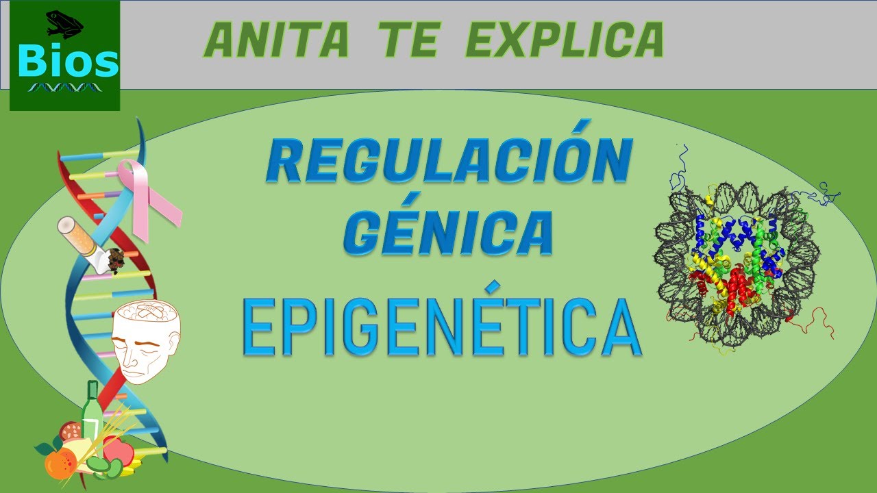Regulación génica  Epigenética