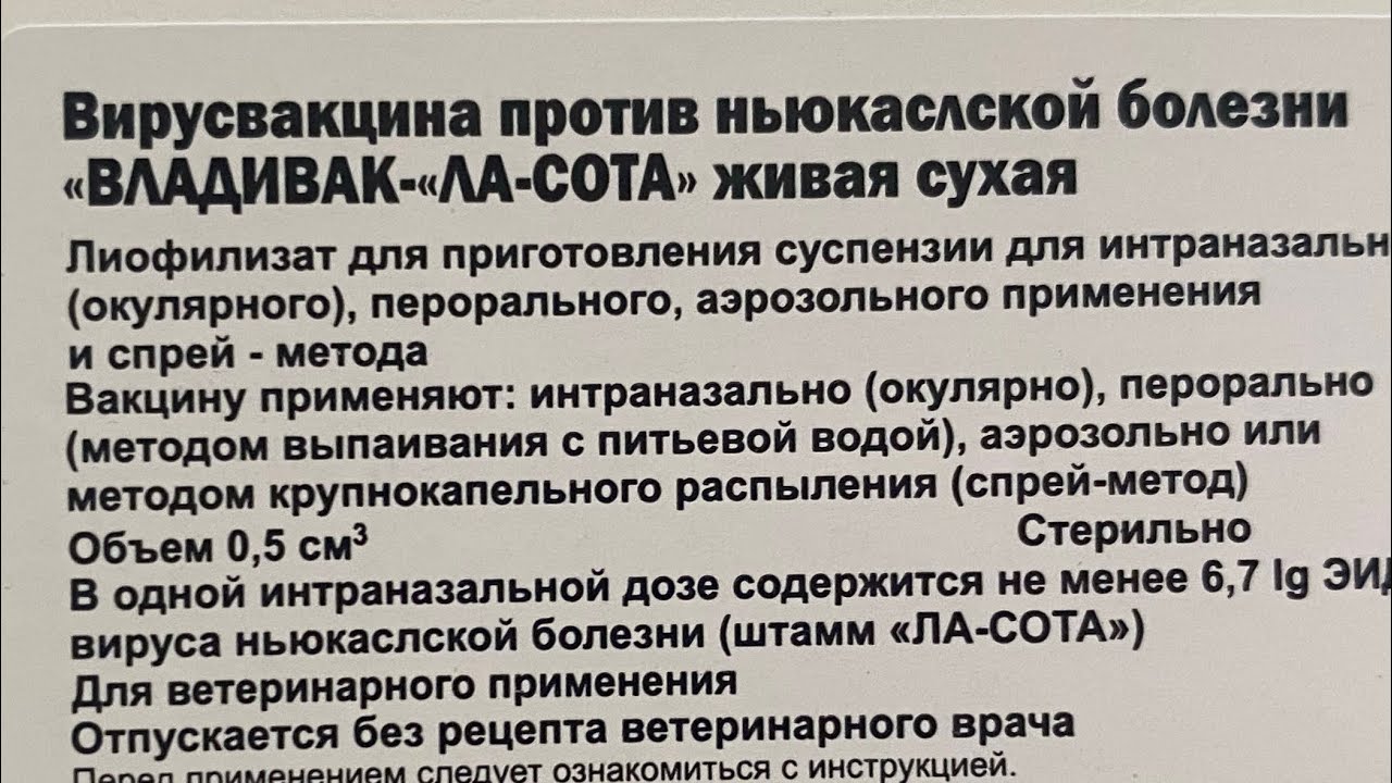 Вакцинация кур от Ньюкасла# метод выпойки легко#