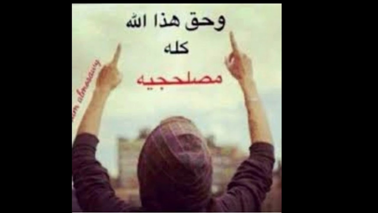 شاعر  حسين جولاق