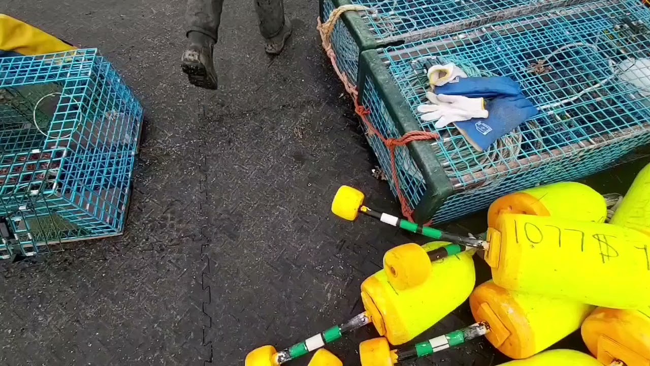 Lobster Season 2021, setting gear