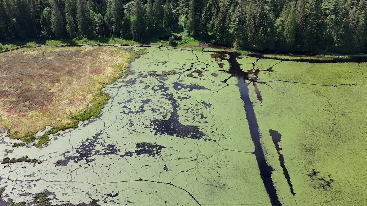 Minnekhada low knoll aerial view