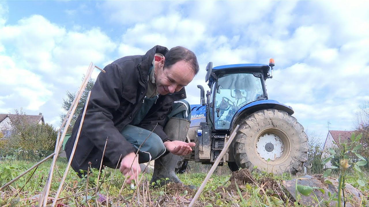 Dans les Yvelines, des agriculteurs veulent lutter contre l'