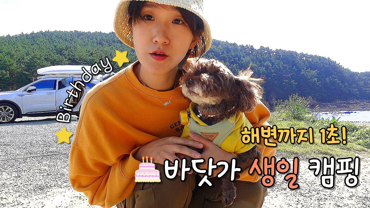 바다가 코앞인 해변가 캠핑장에서 귀여운 강아지&새 텐트와 함께한 생일 캠핑🎂/애견동반캠핑/태안파도리아치내캠핑장