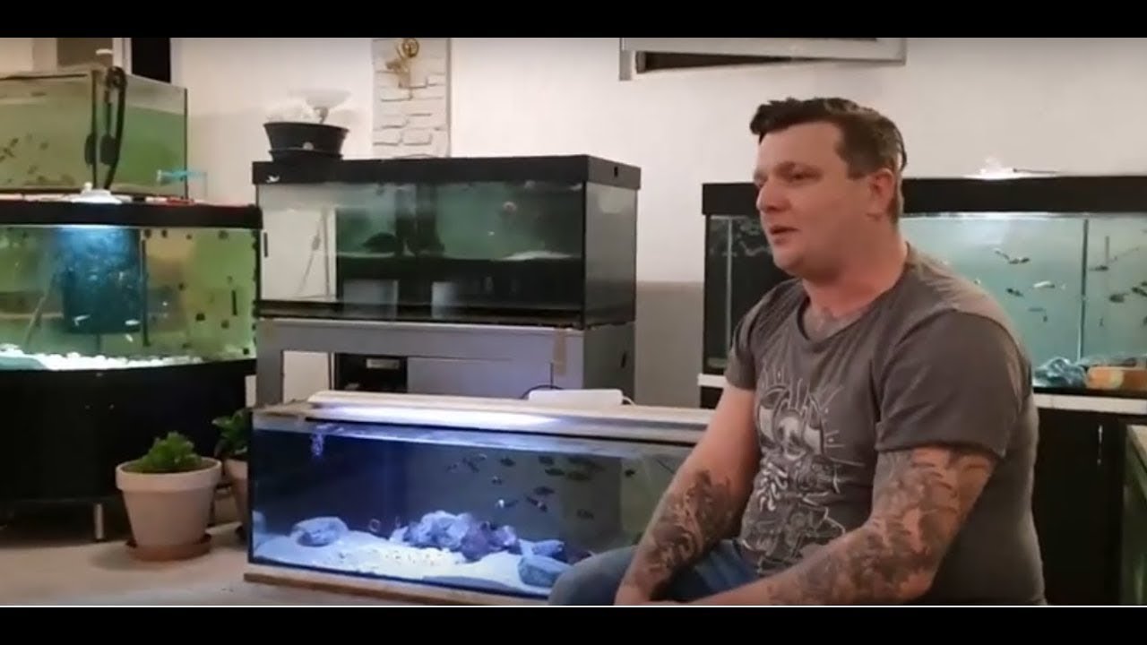 Akvarističke priče sez.1 ep.1 - 