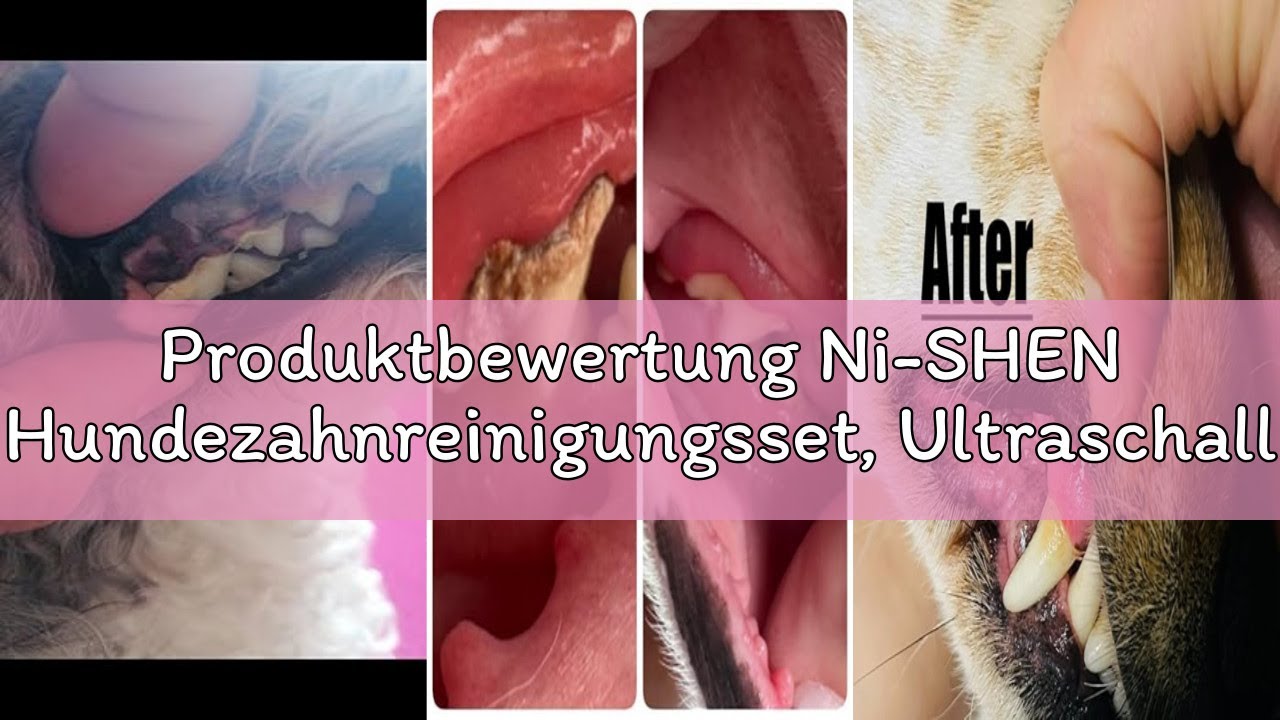 Produktbewertung Ni-SHEN Hundezahnreinigungsset, Ultraschall-Zahnreiniger für Haustiere, Zahnpflege