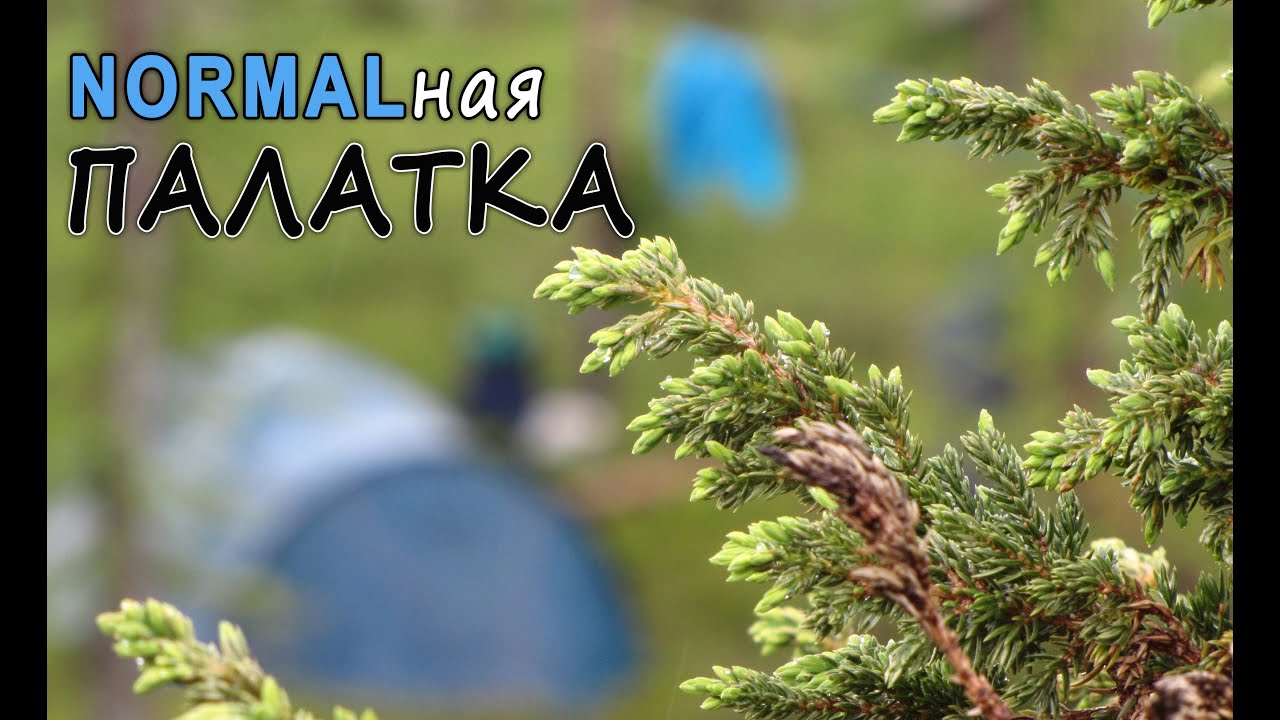 Палатка для похода. Нормал.