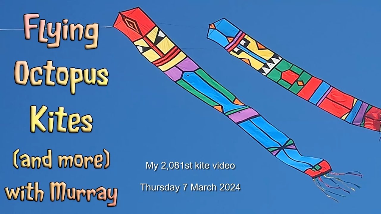 Flying Octopus kites (and more) with Murray