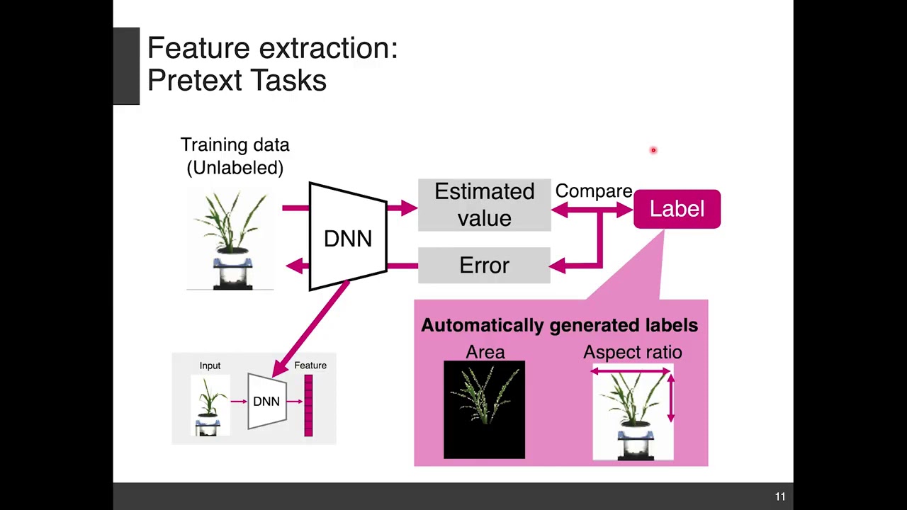 S2: Dr. Yuzuko Utsumi - DNN based plant phenome estimation with small data