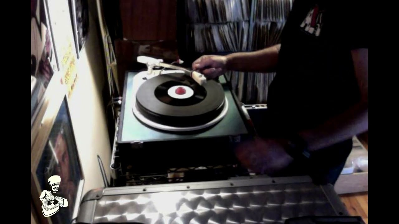 Survival Revival #29 By Stereotone