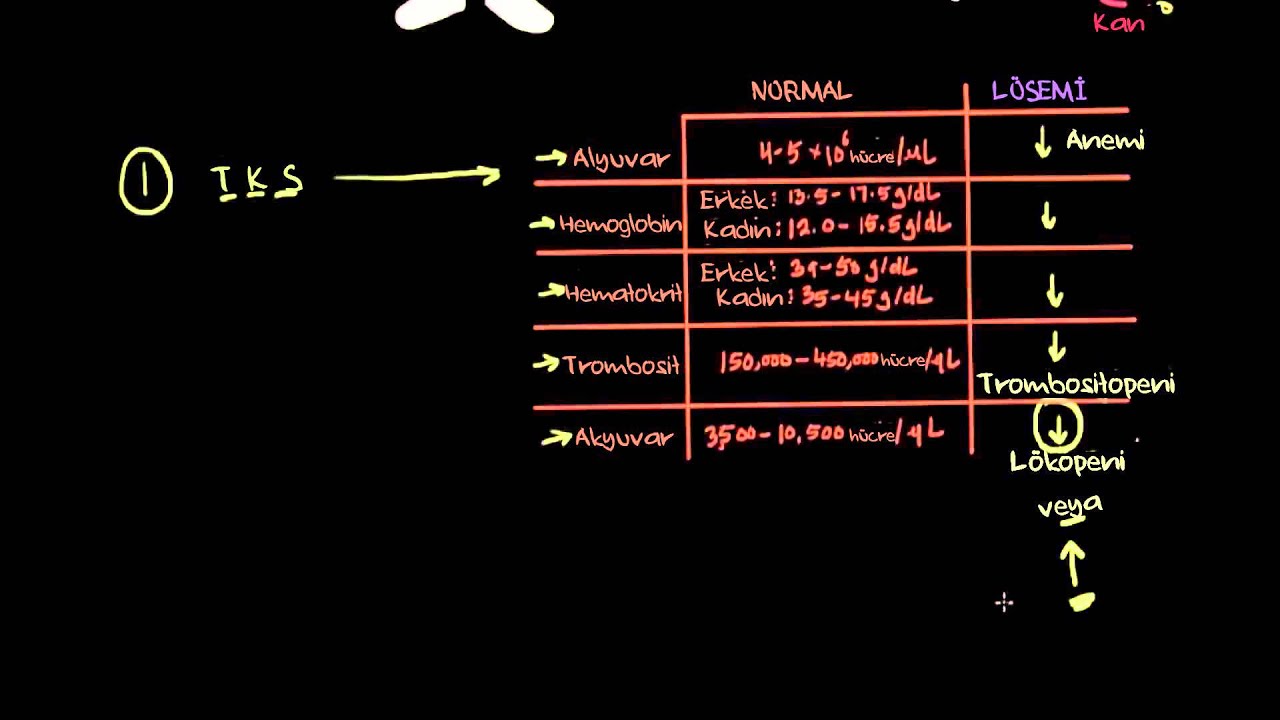 Lösemi Teşhisi (Sağlık ve Tıp)