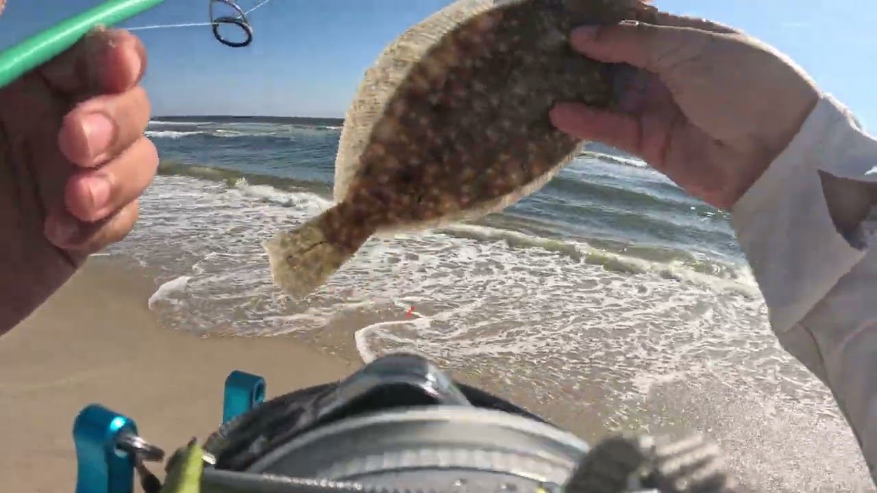 Fluke Fishing in low Tide. First Ever Stargazer