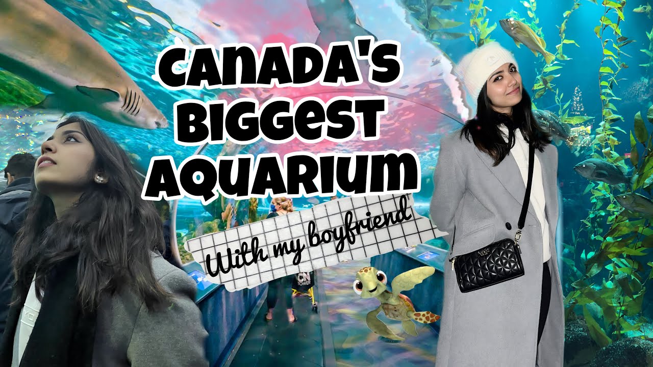 Exploring Canada’s Biggest Aquarium 🐠 | Boxing Day Shopping! 🇨🇦