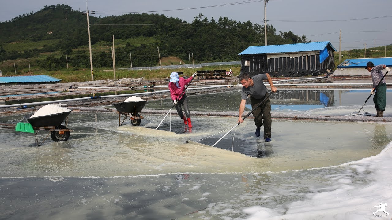 Korea: Salt Farm