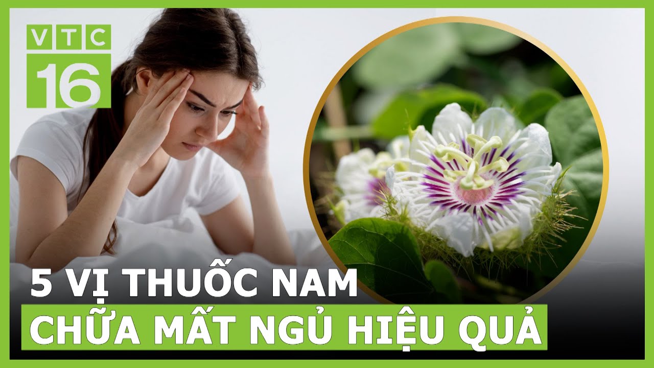 5 Bài thuốc dân gian trị mất ngủ có sẵn trong vườn nhà | VTC16