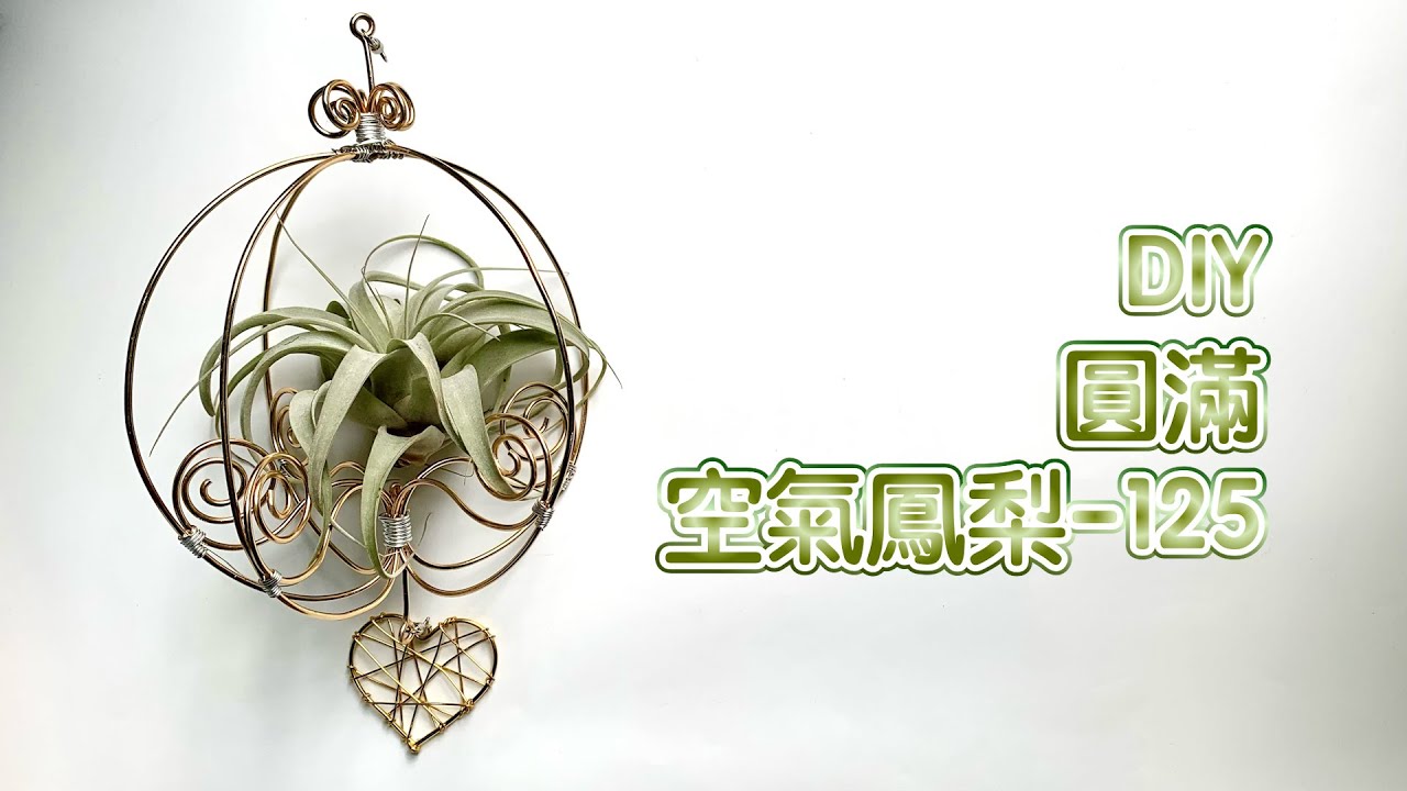 DIY wire 教你如何使用彩色鋁線製作空氣鳳梨 圓滿 How to make Aluminum wire Air plant flowerstand perfect
