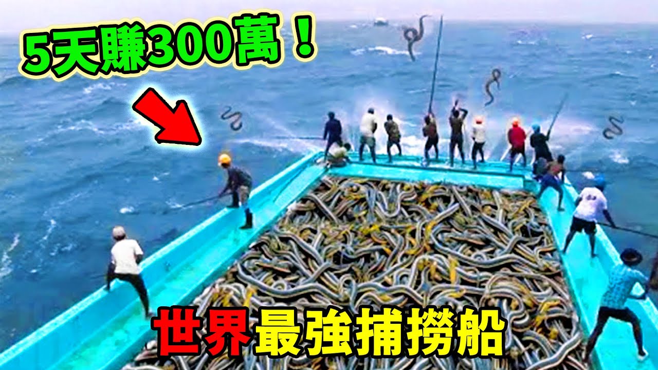 全世界最強的十大捕撈船！ AI找魚只能排第七，第一名把海洋變成流水線，聯合國出動衛星全程監控！