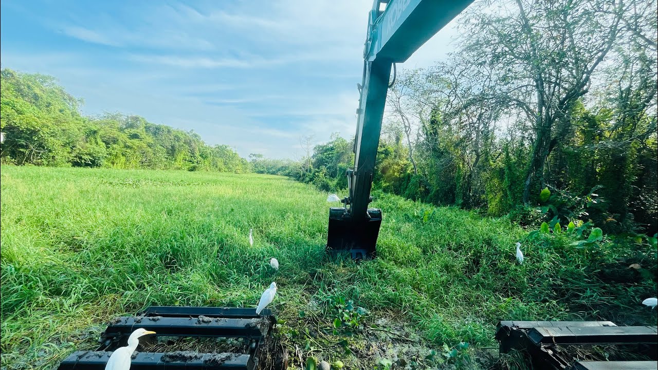 Clearing River Weeds with the Amphibious Excavator | Heavy Machine at Work 💪💪💪🤝