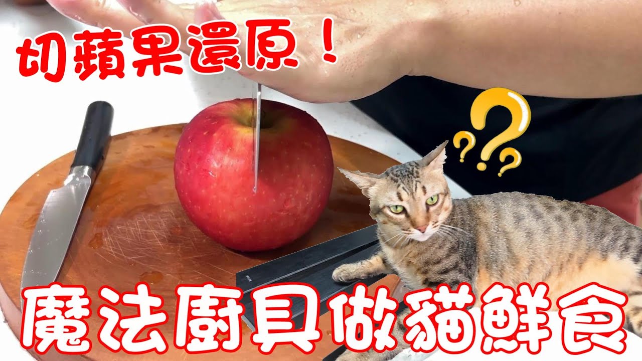 阿虎學做菜？用魔法廚具做貓咪鮮食 ft.葉添 精工三刀組 2.0