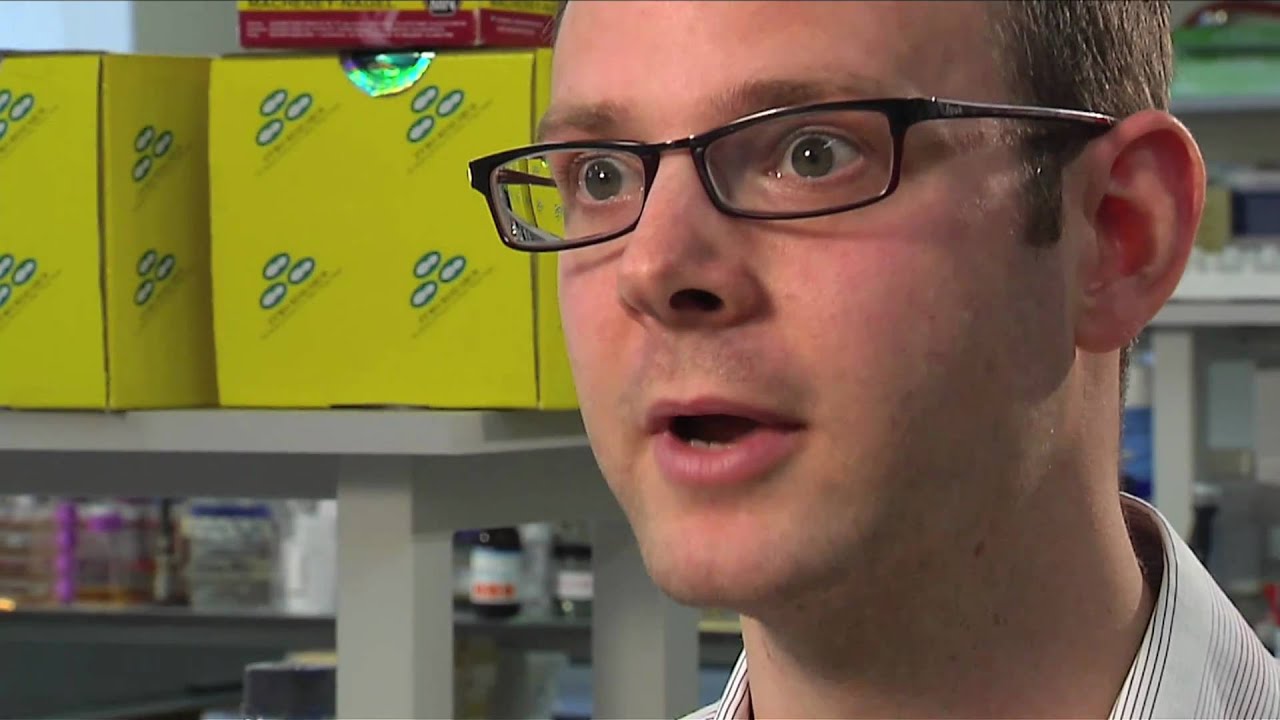 Careers after Biological Sciences - James