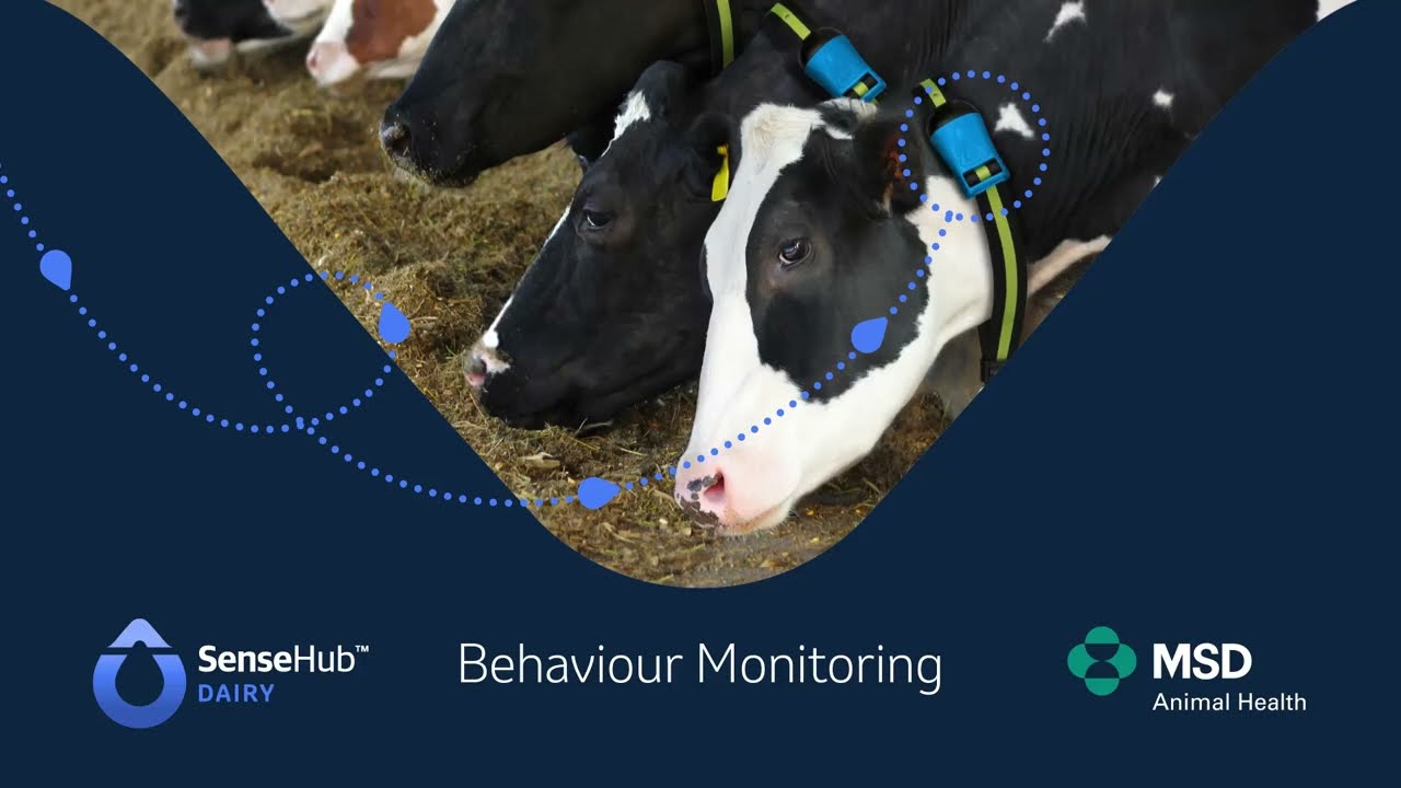 SenseHub&trade; Dairy Behaviour Monitoring Solutions