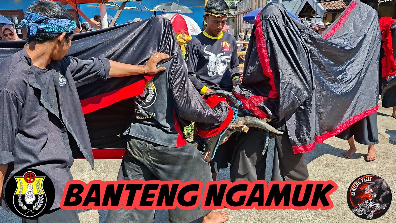 Tri Tunggal Live Claket Pacet || Bantengan