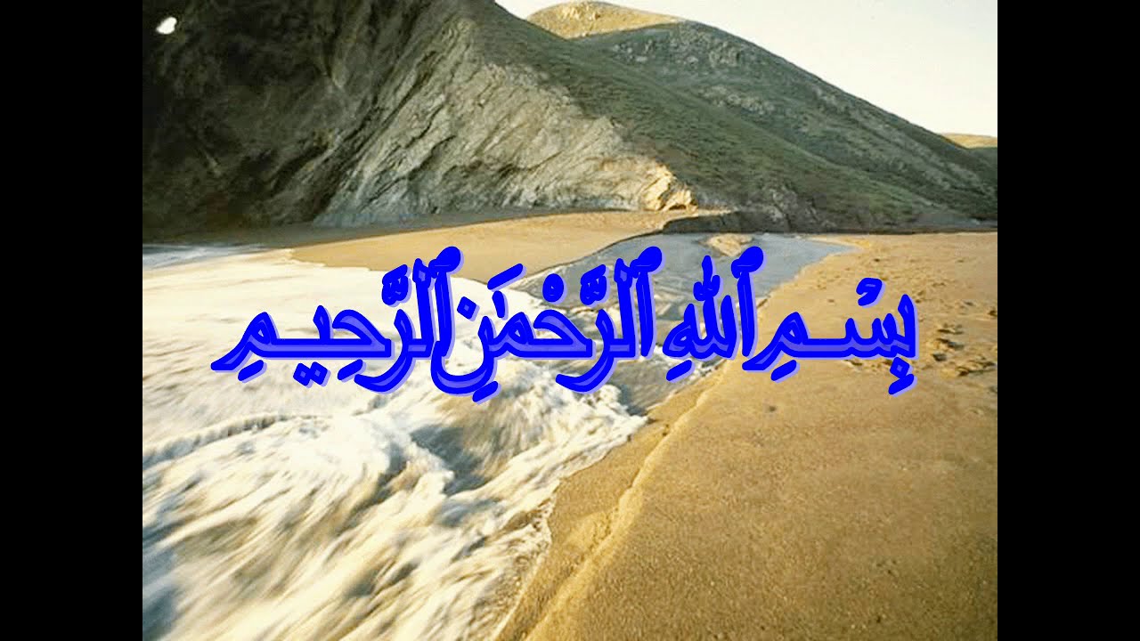 Anatomy of the Fallopian tube