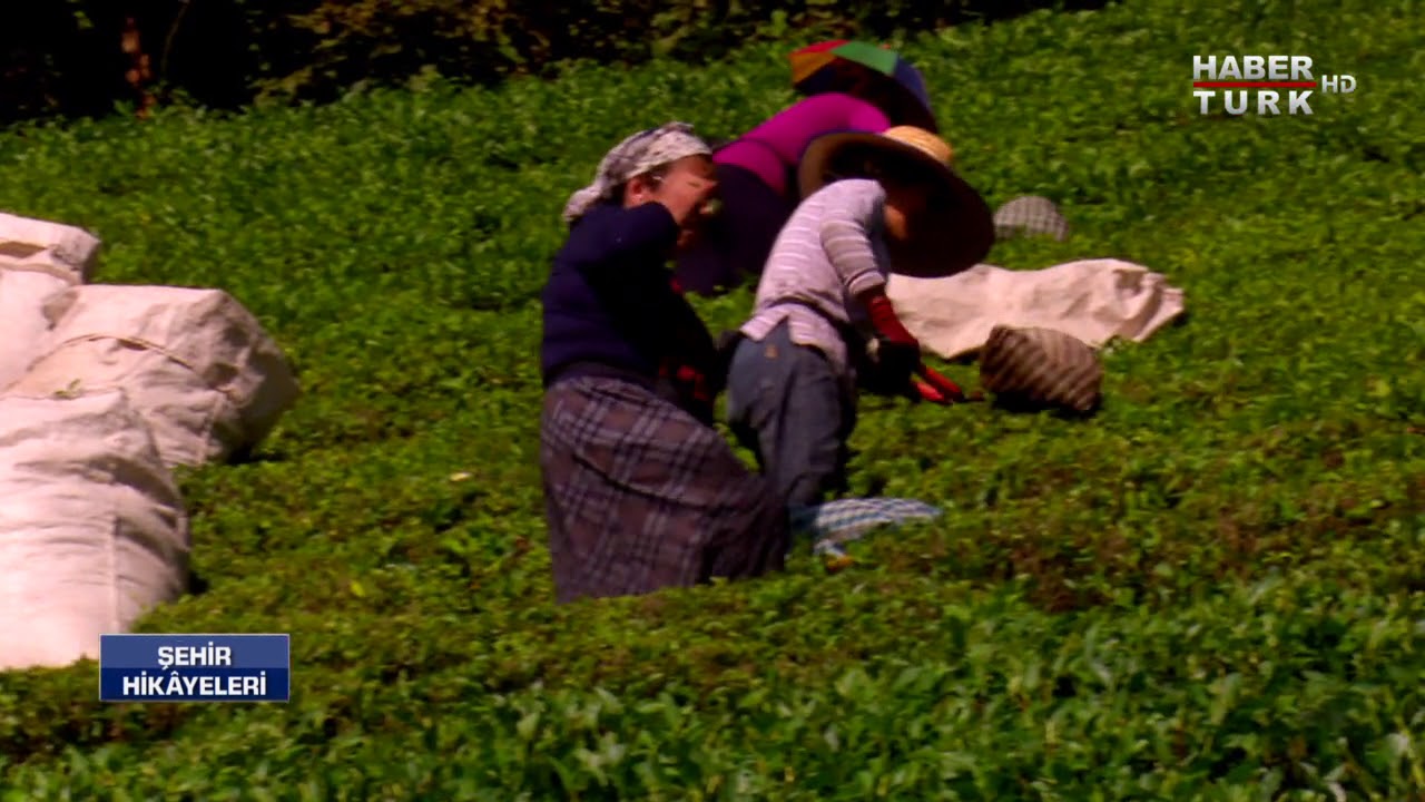 Şehir Hikayeleri - 28 Ekim 2017 (Çamlıhemşin)