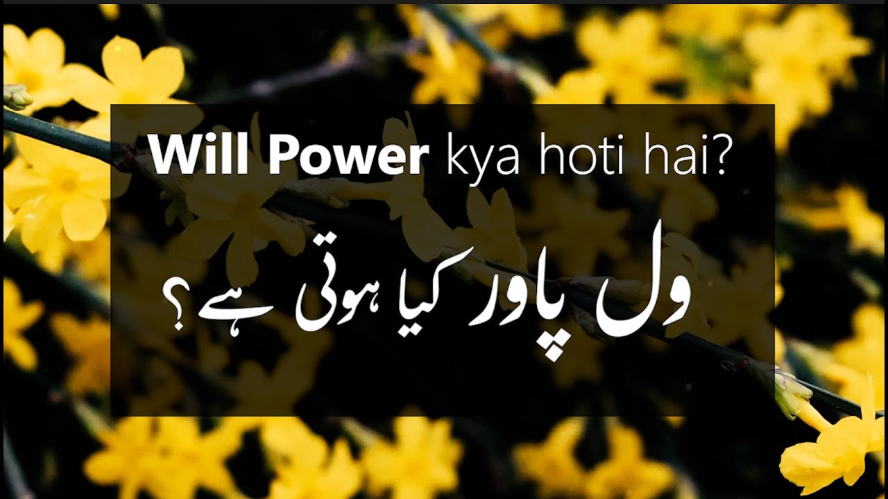 Will Power Kya hoti hai? | ول پاور کیا ہوتی ہے؟