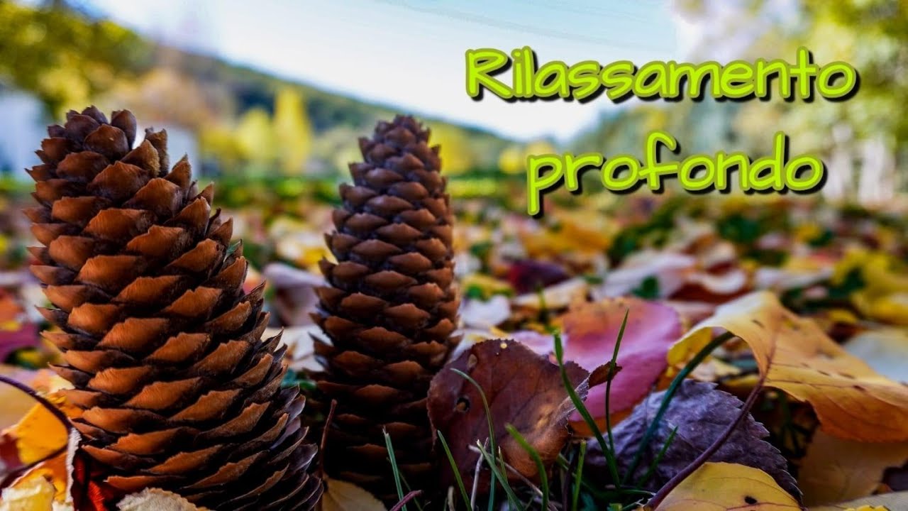 Rilassamento profondo per ricaricare le energie