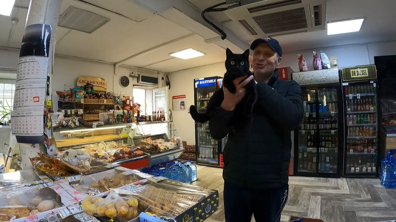 Сообщение от Надежды: секс, соль, разборки, драки. Тайная ночёвка.Сечин в НГ ни грамма.Делёж машины'