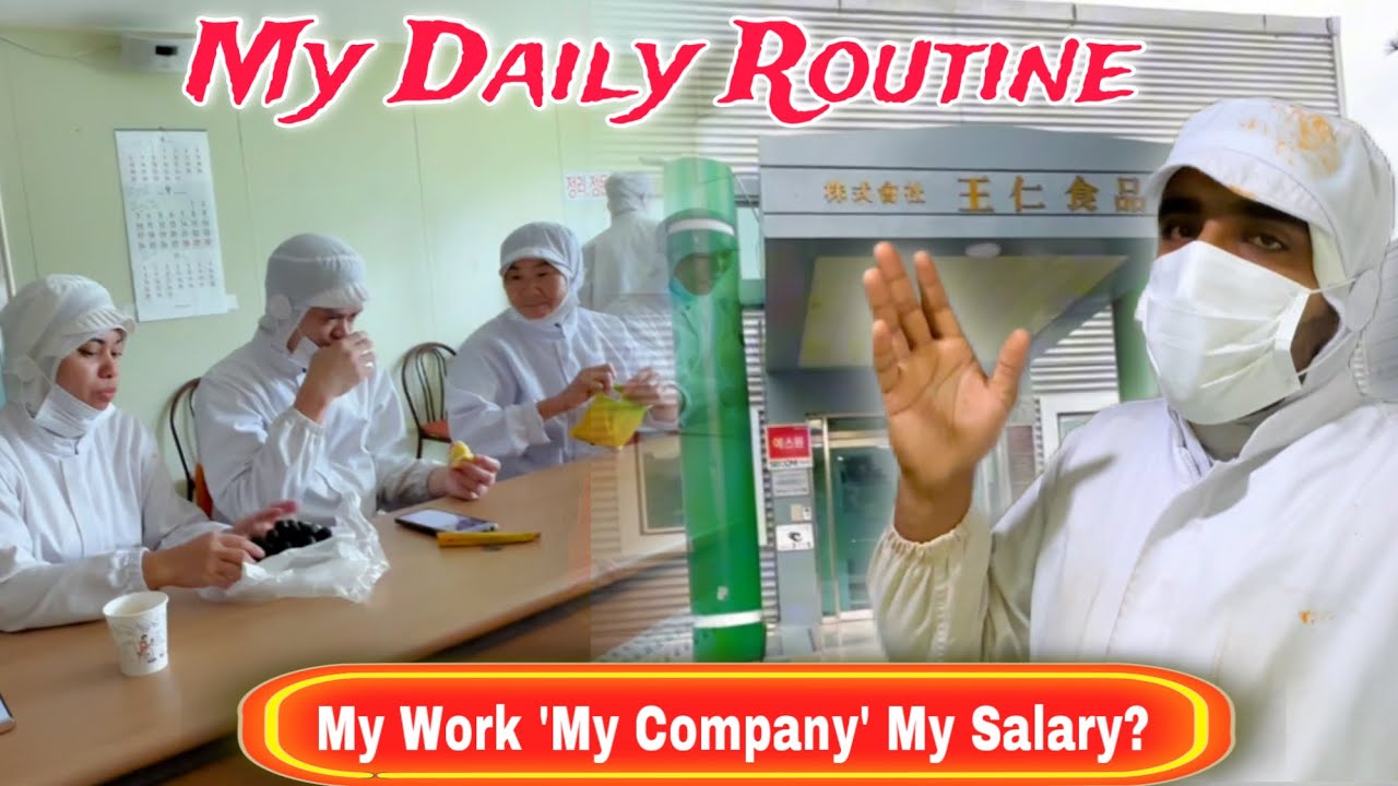 My Daily Routine In South Korea || My Work My Company My Salary?
