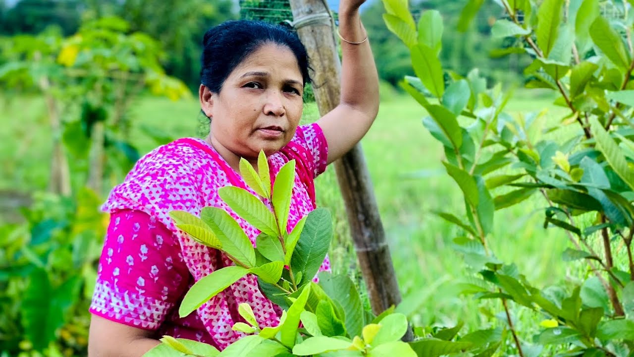 আম্মায় বাজার থাকি কিতা কিতা আনছন, আর মৌমিতা রে কিলান বুজ দিয়া ভাত খাওয়াইন। 