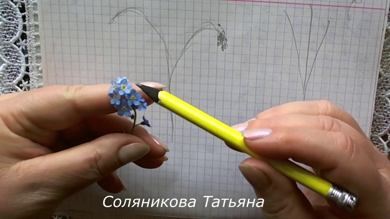 незабудки