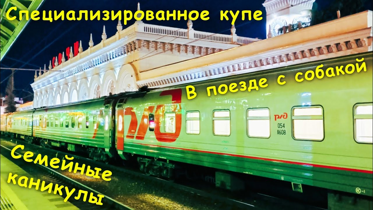 Семейные каникулы🤗 / В поезде с собакой🐶 / Специализированное купе🦽 / Поезд 554 Адлер - Ставрополь🚂
