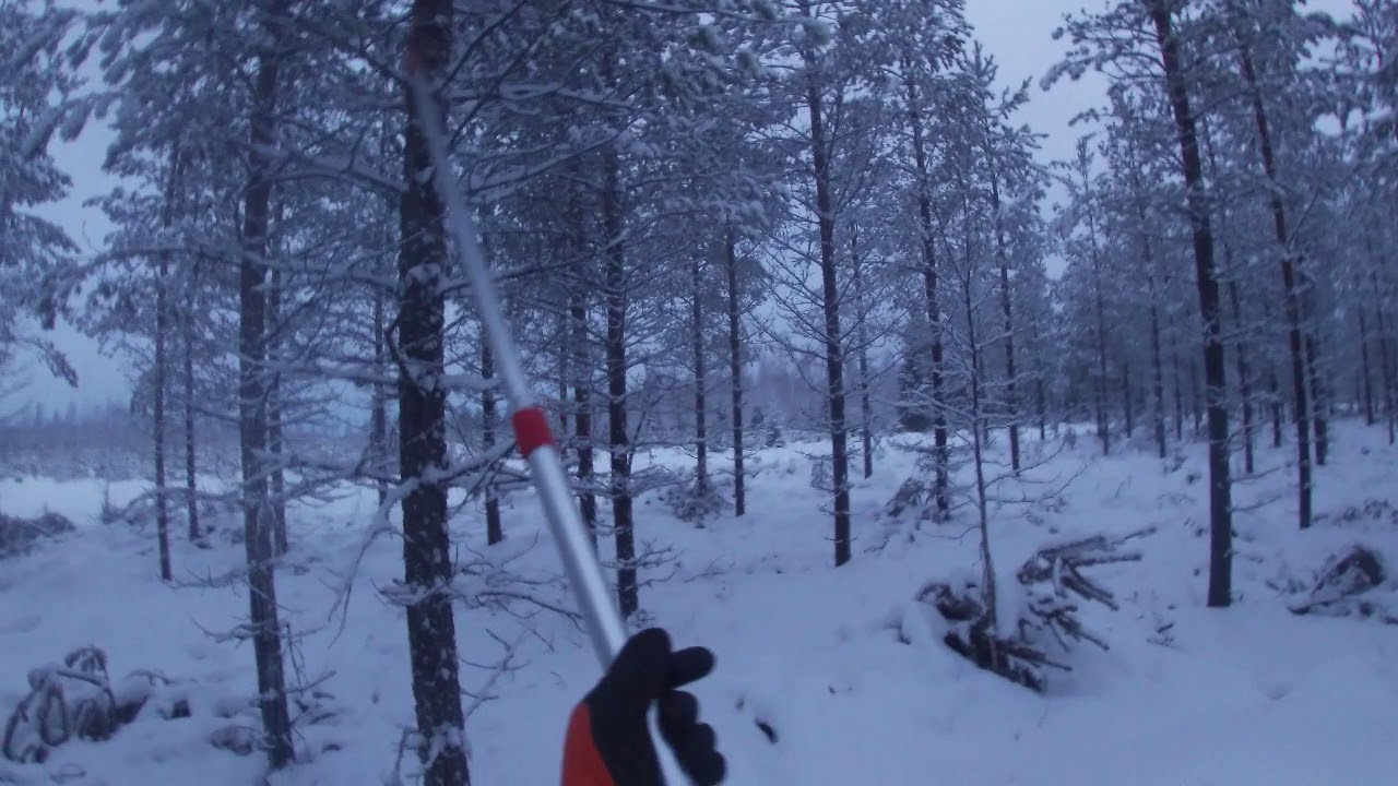 Pystykarsintaa...kaamos aikaan