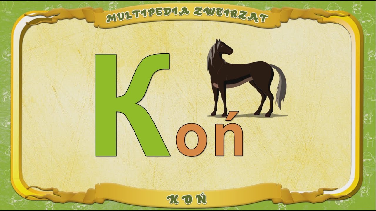 Multipedia Zwierząt. Litera K - Koń