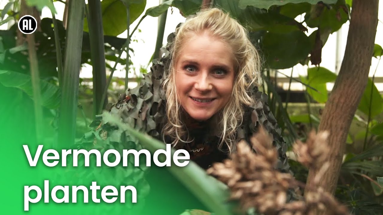 Vermomde planten | Plantastisch