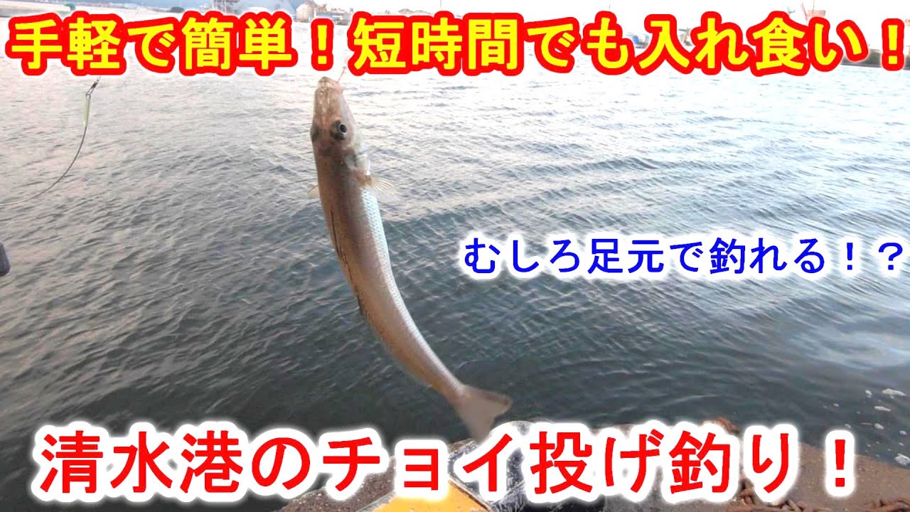 ＃92　清水港で夕方に簡単で楽しいちょい投げ釣り！　短時間でも色々な魚が入れ食いで大漁！