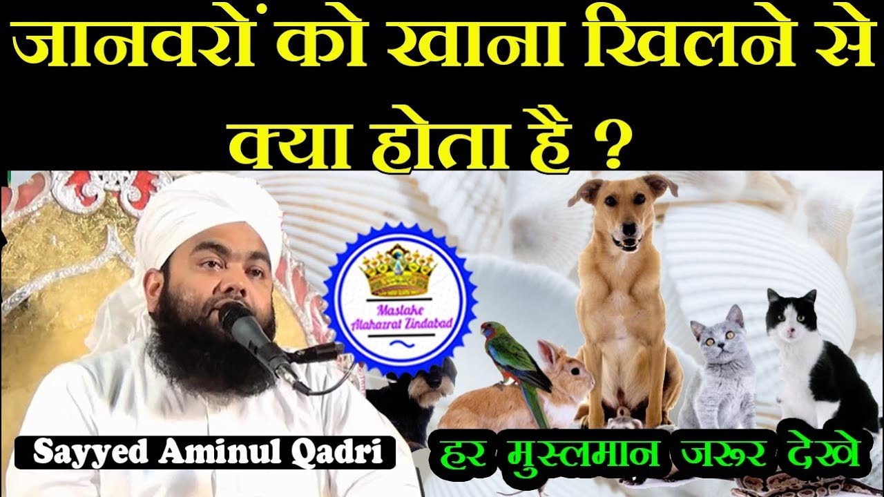 Janwar Ko Khana Khilane Se Kya Hota Hai | Sayyed Aminul Qadri
