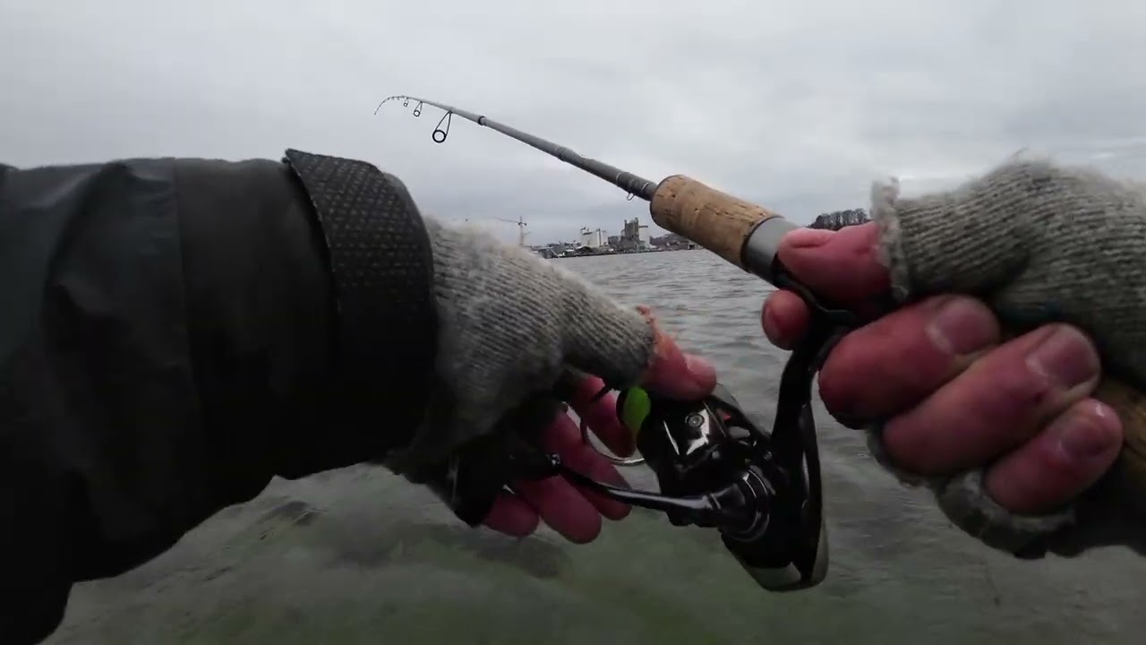 Hav&oslash;rredefiskeri 2025 februar. Nultur eller ej fin blank fisk Hav&oslash;rred