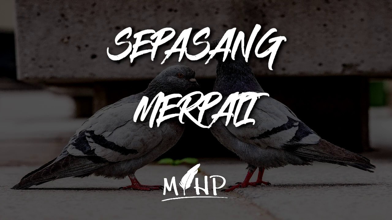 Sepasang Merpati karya Mihp