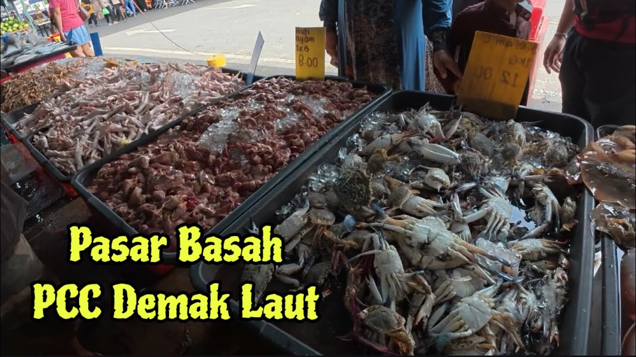 Macam-macam Hasil Laut Di Pasar Basah PCC Demak Laut