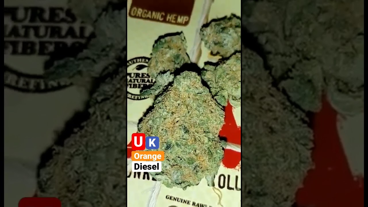 Uk orange diesel ⛽️🍊 | Balaclavabuds #fyp #shorts #rapperweed #weed #gas #greenteam #cali #bud